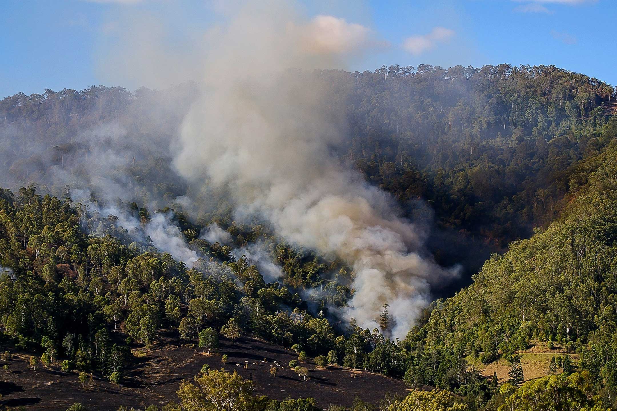 Bushfire2160