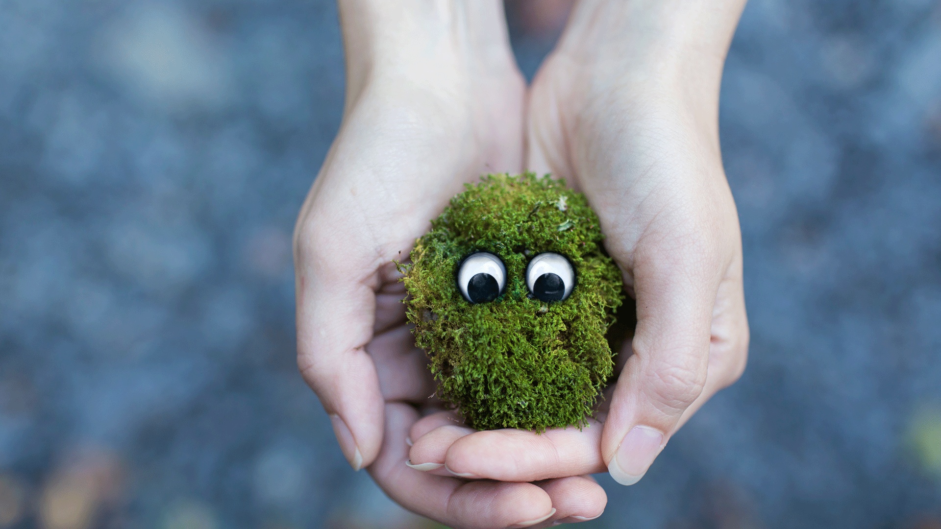Tips for Raising Creative Kids