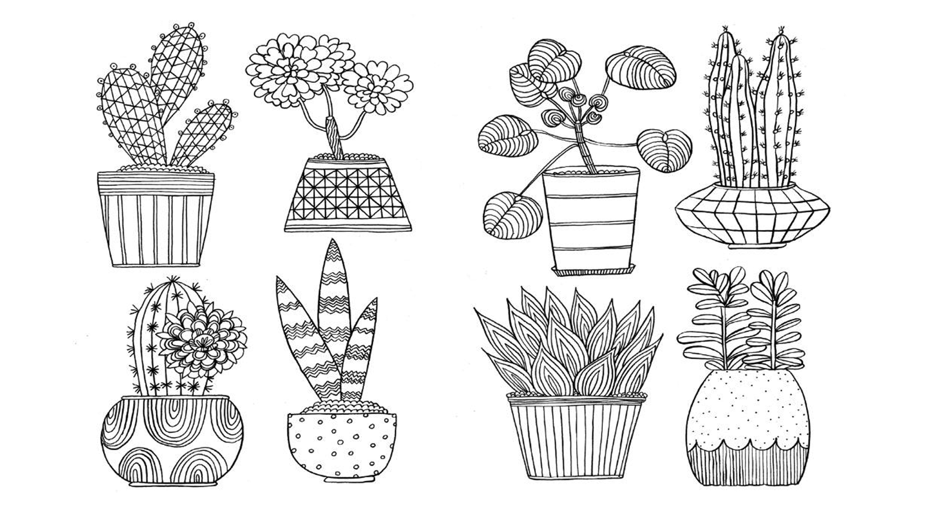 Colouring In For Grown Ups
