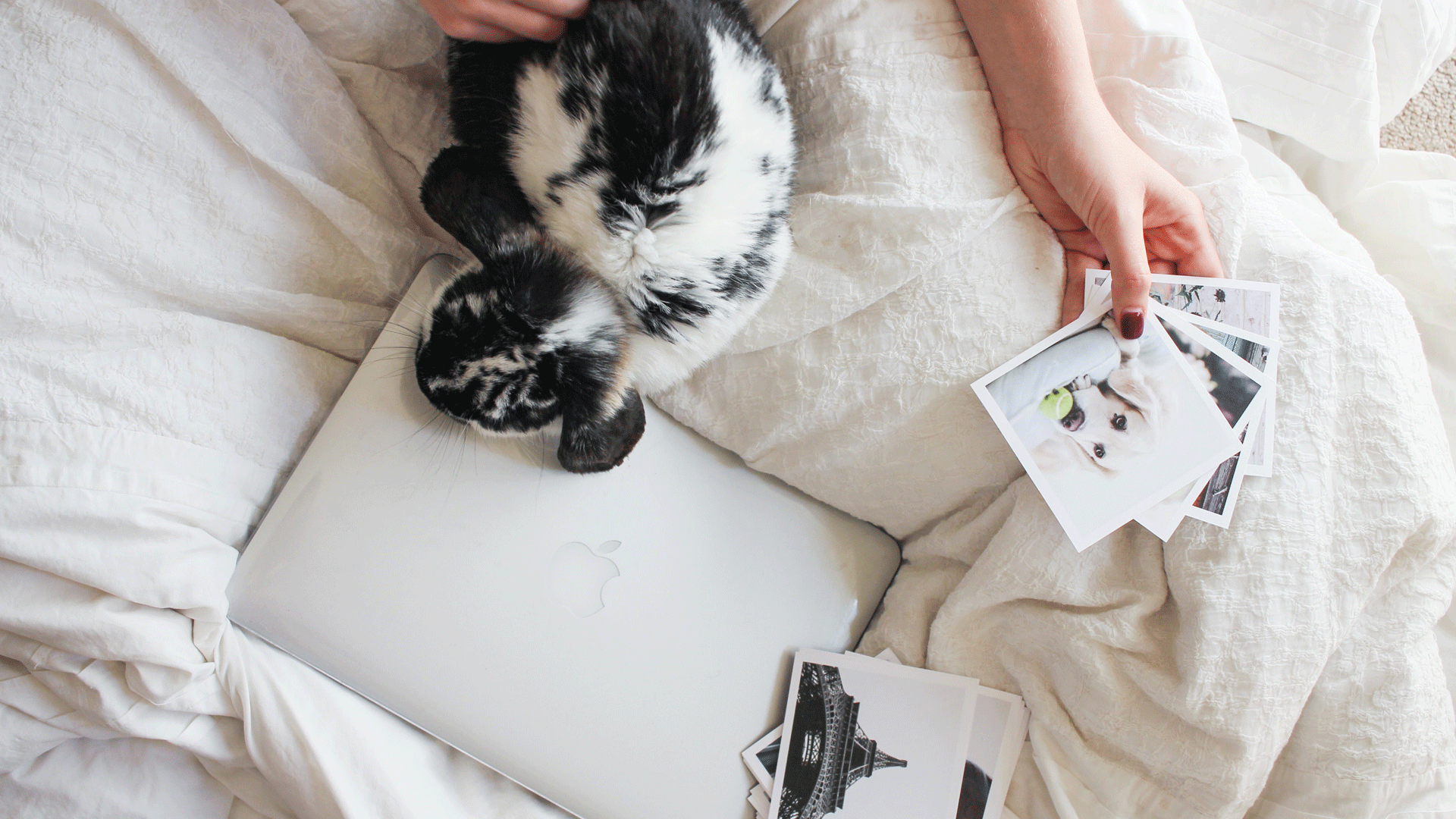 Modern Scrapbooking Products For Photo Lovers