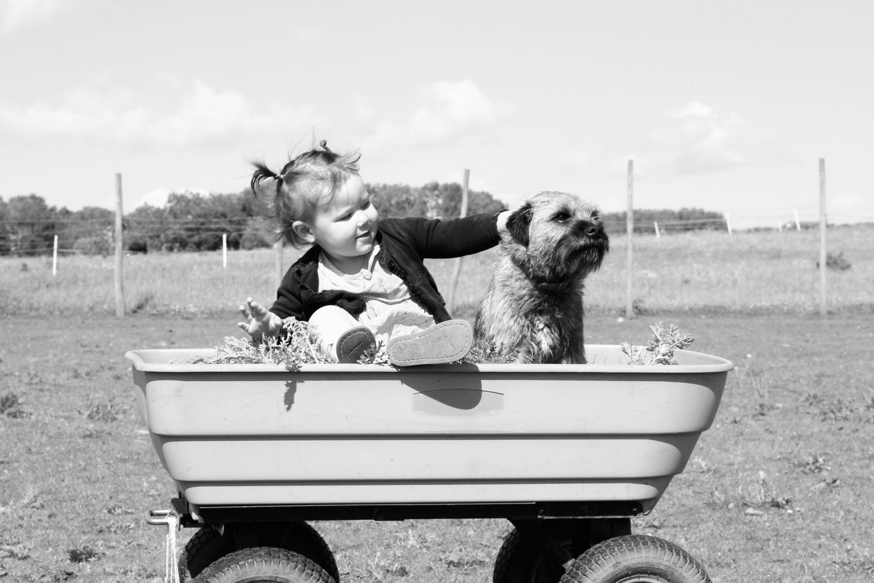 Top 10 Toddler Myths