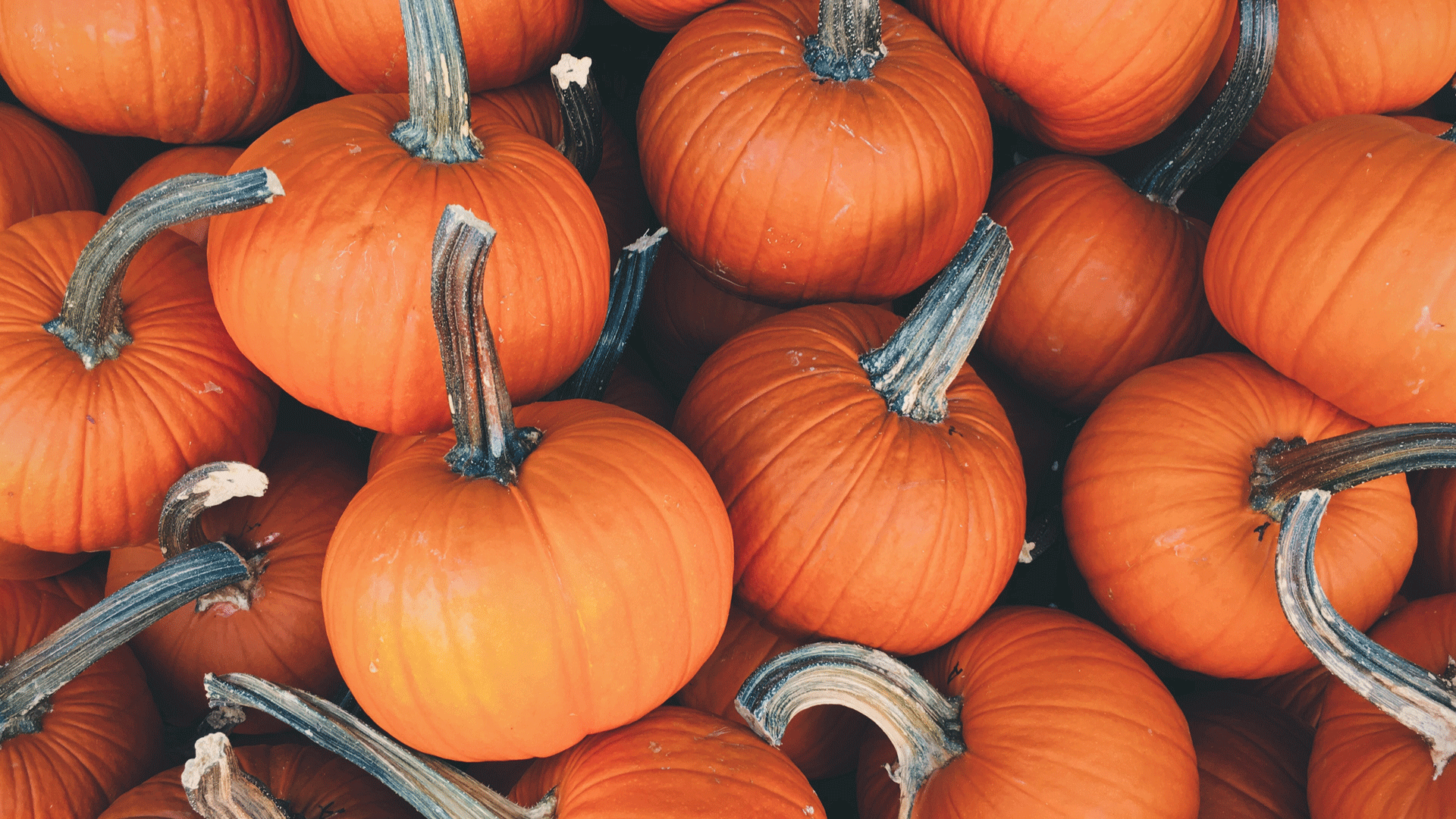 Why I Love Halloween