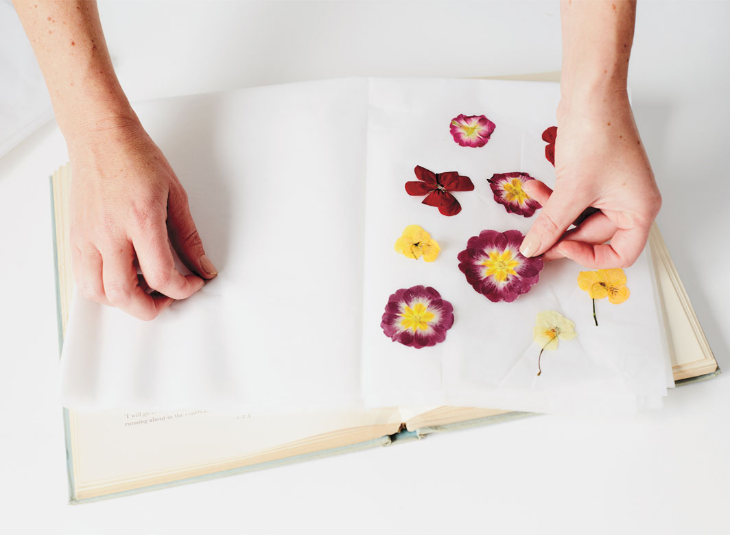 DIY Pressed Flowers