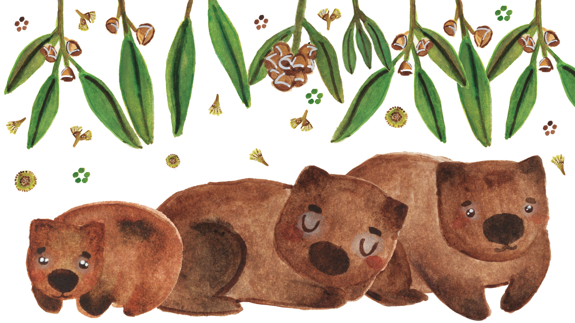 author-jackie-french-diary-of-a-wombat
