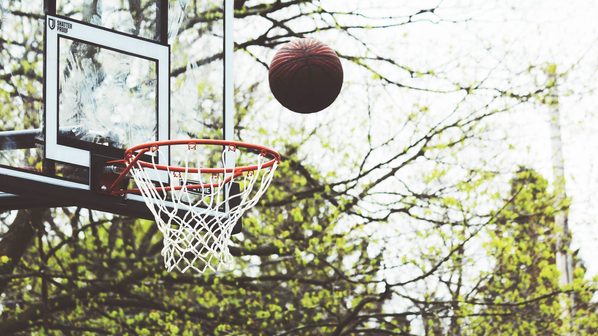 to-coach-or-not-to-coach
