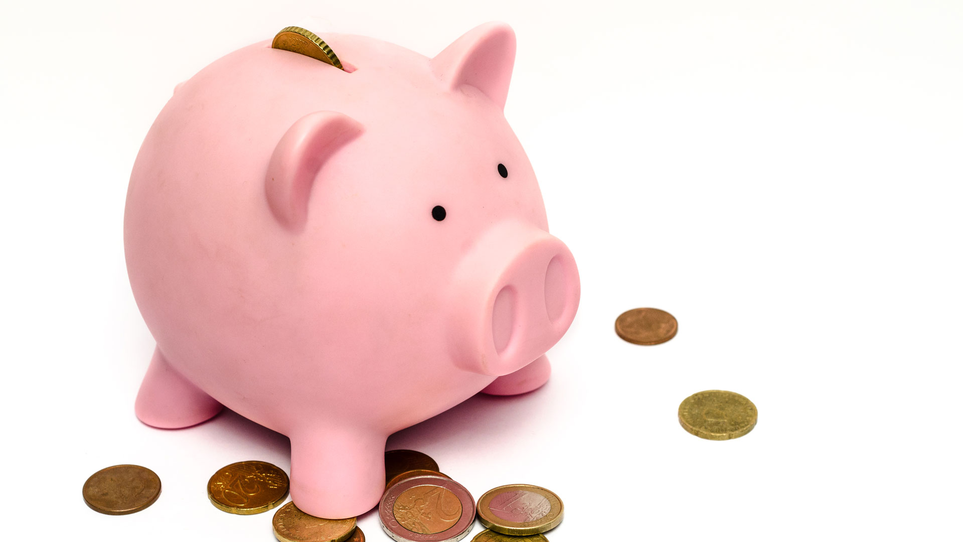 piggy bank