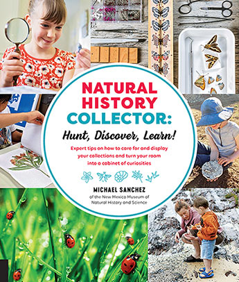 Natural History Collector: Hunt, Discover, Learn! by Michael Sanchez