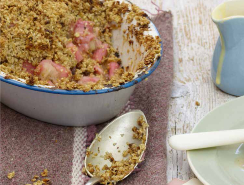 River Cottage Baby & Toddler Oaty Rhubarb