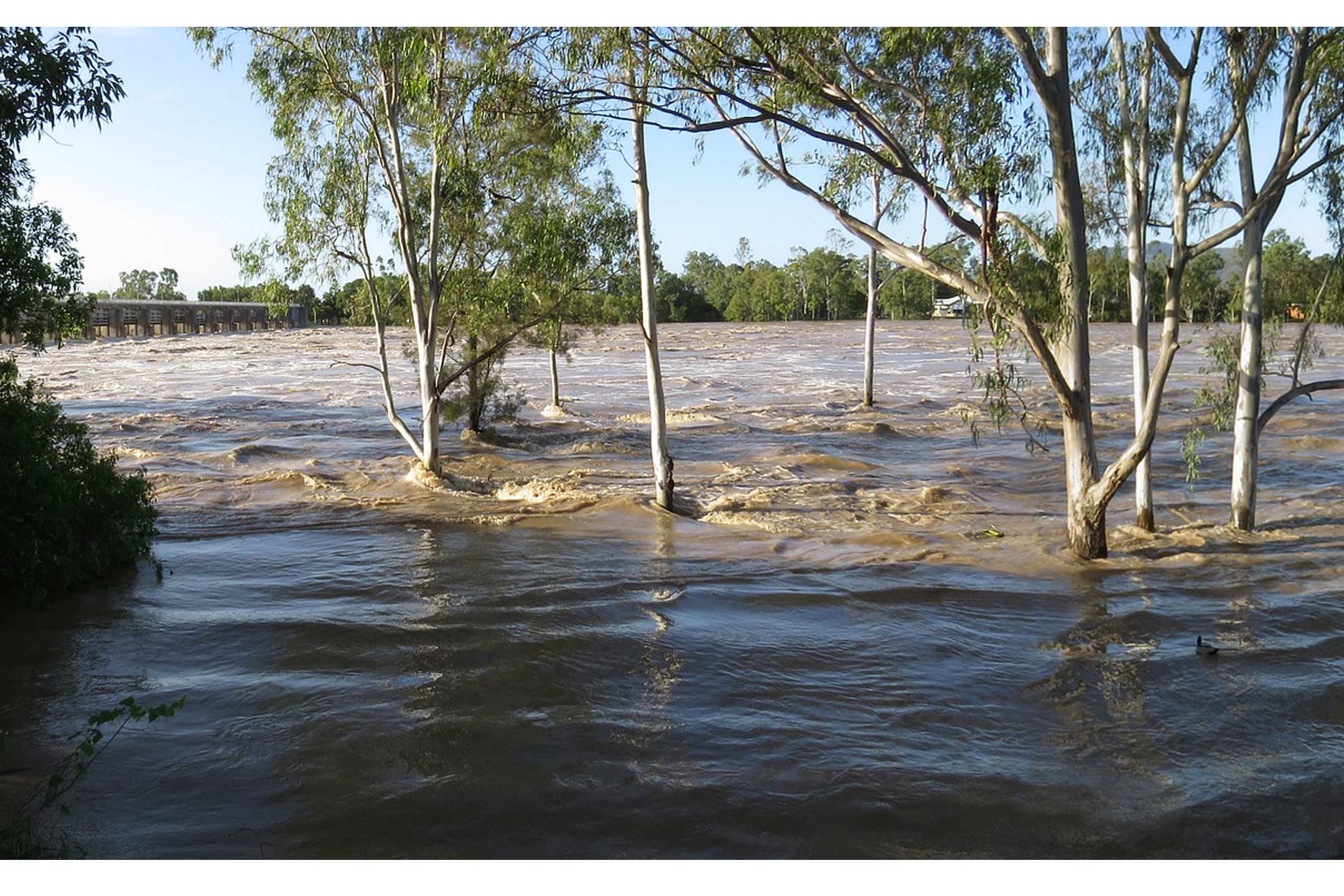 flodwaters-australia-disaster2160