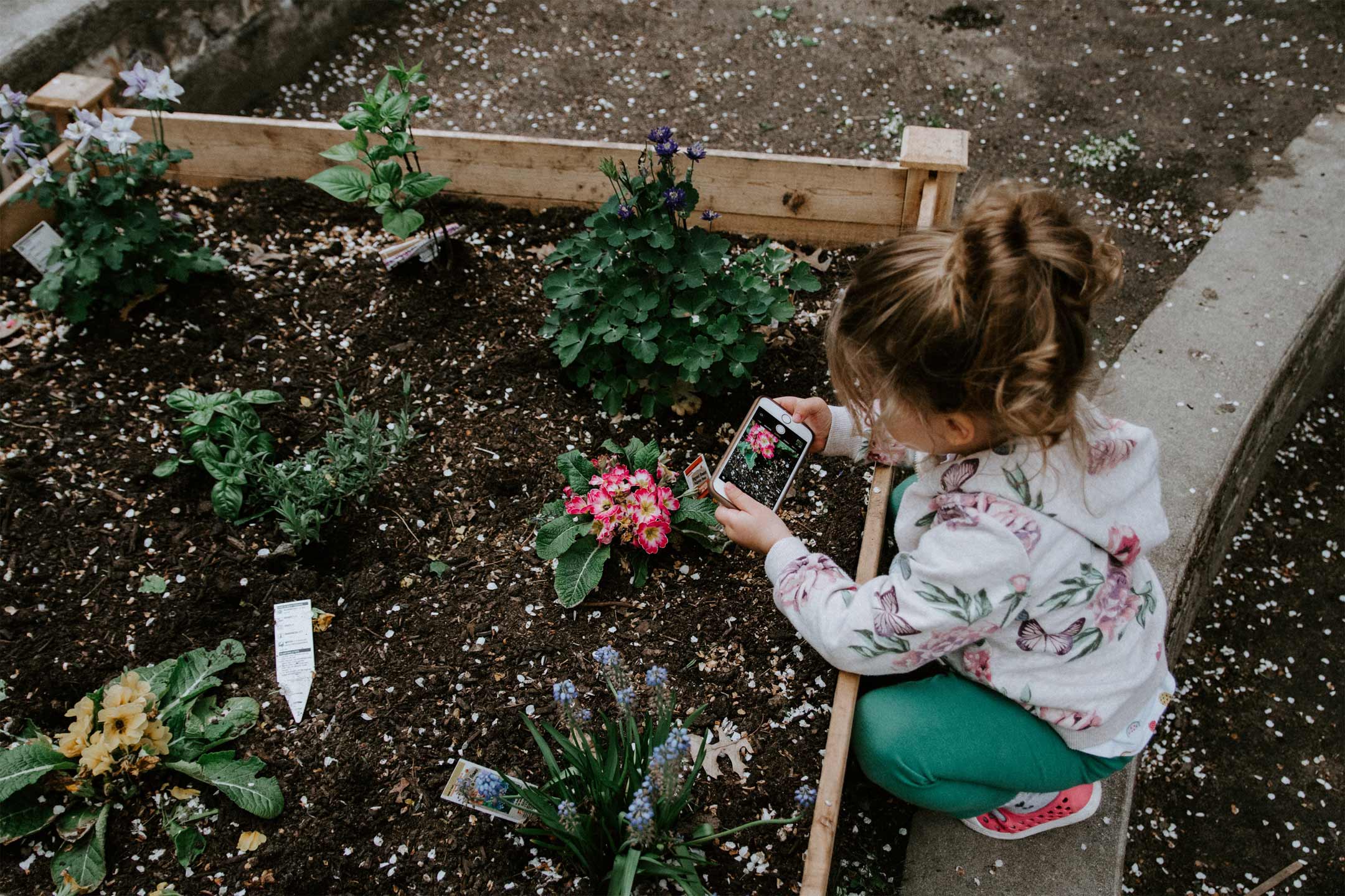 child-gardening2160