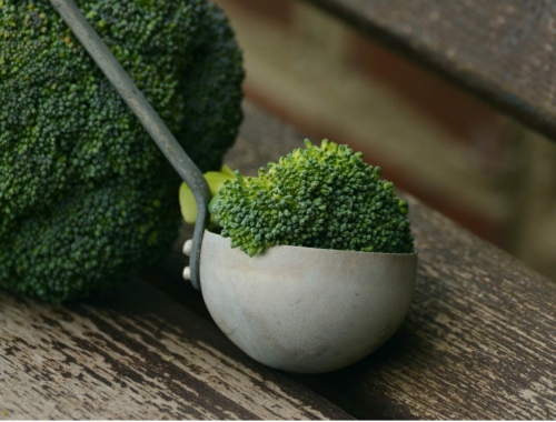 broccoli-on-wood2160