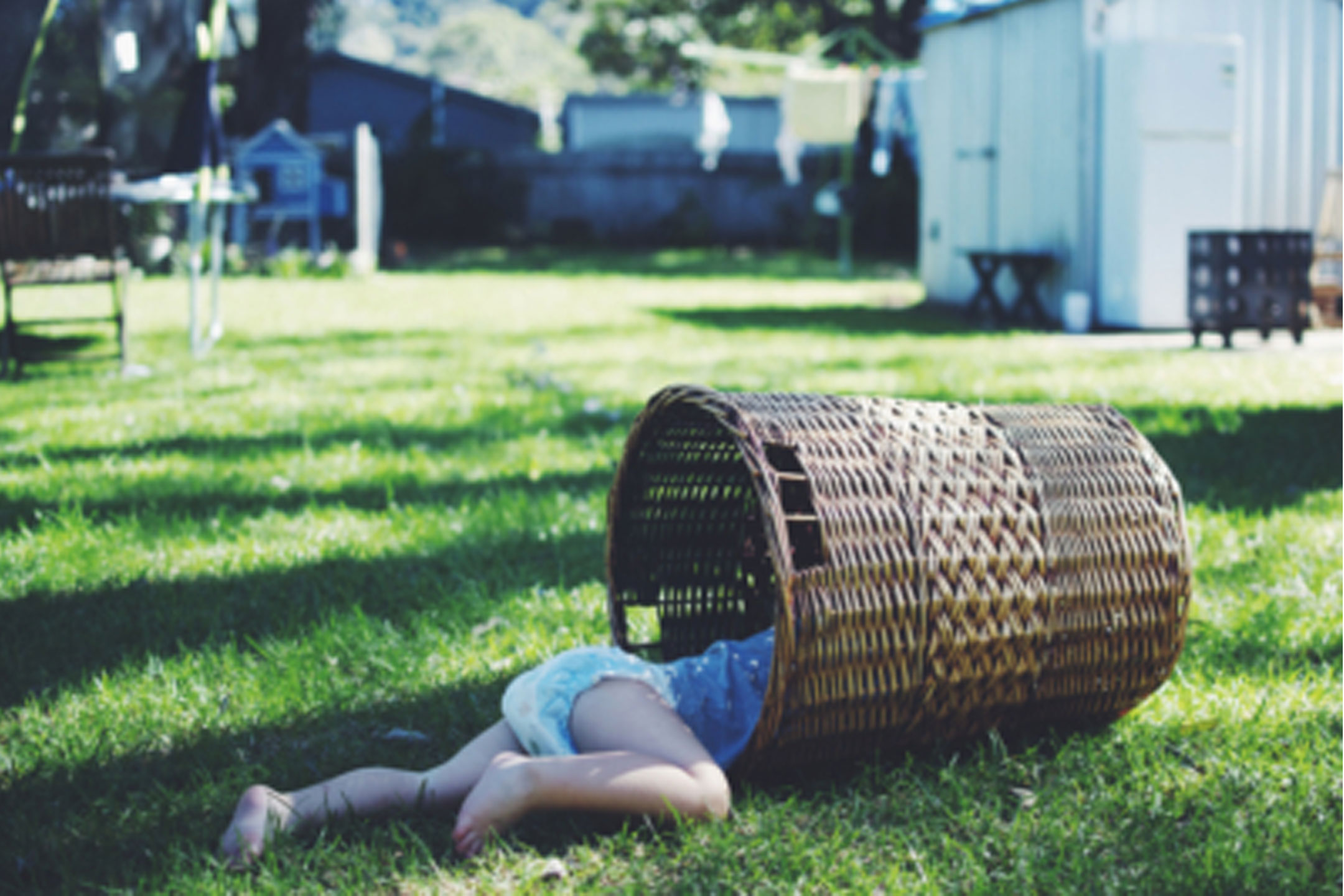 patchworkcactus-playing-outside2160