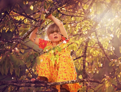 girl-climbing-tree2160