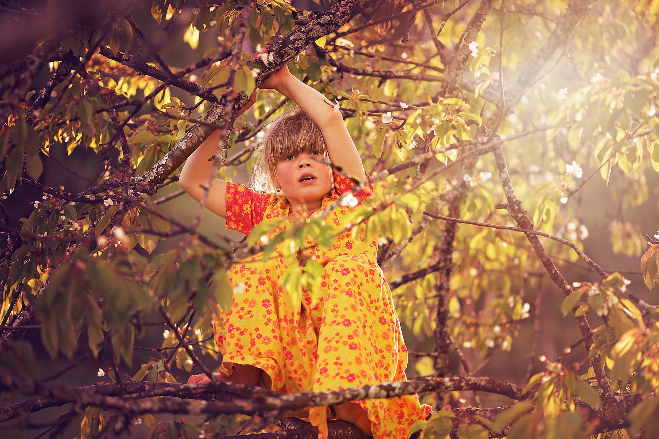 girl-climbing-tree2160