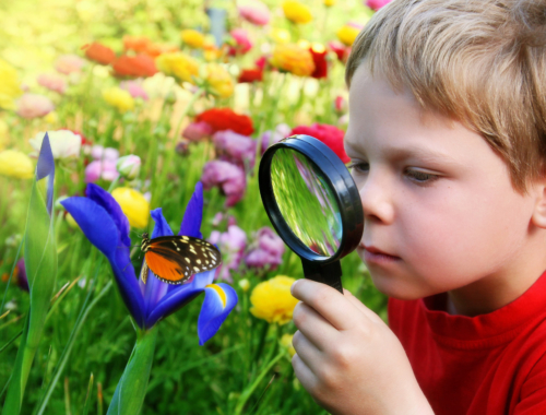 boy-magnifying-glass-garden-butterfly2160