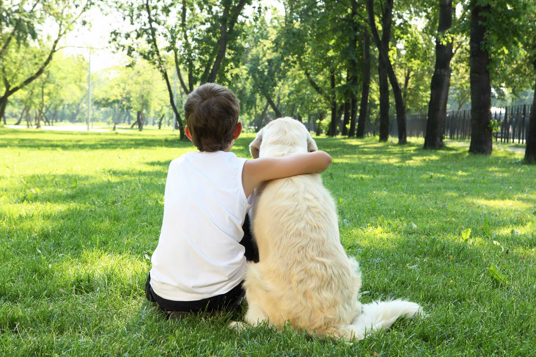 young-teen-hugging-dog-in-park2160