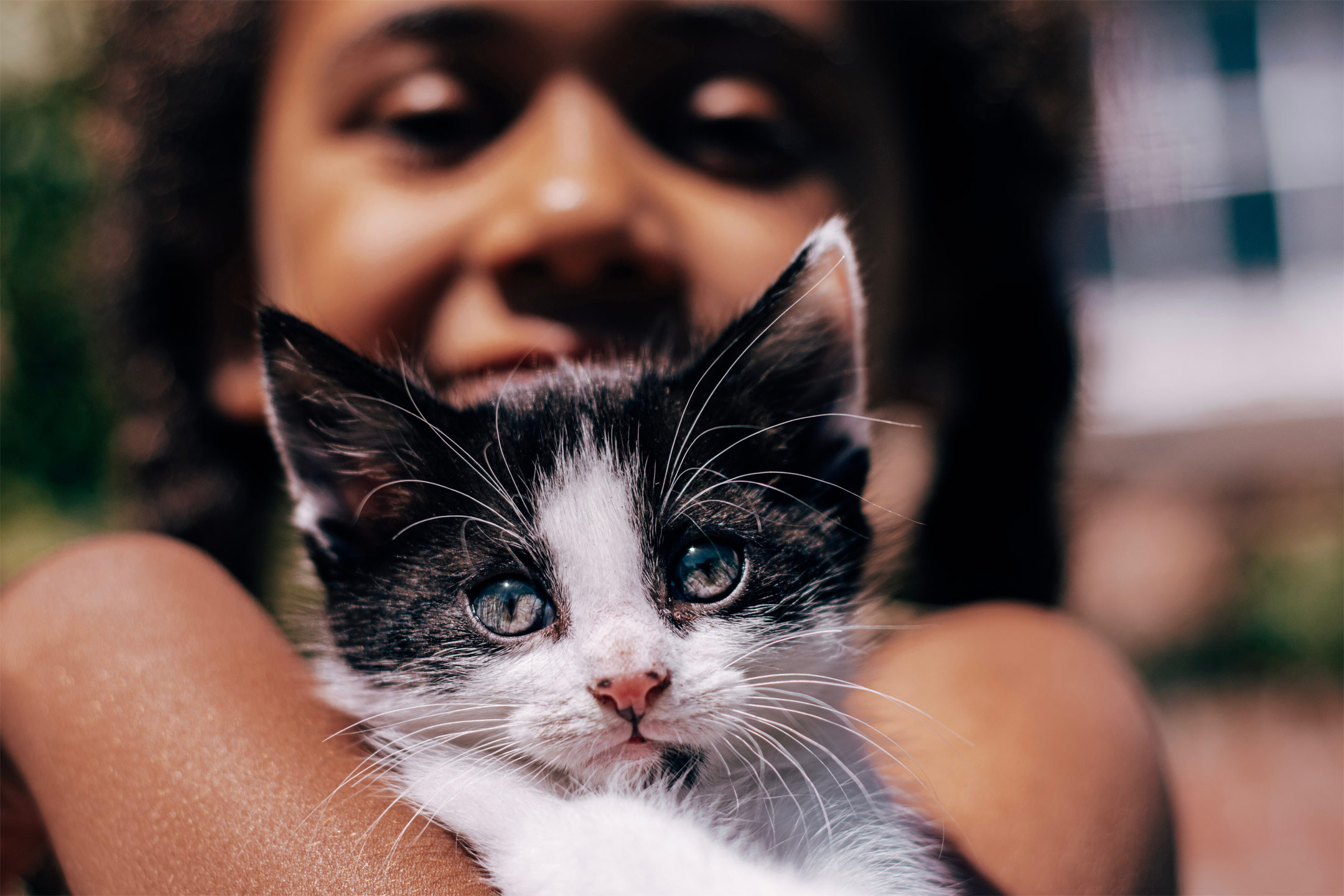 child-holding-kitten2160