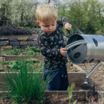 small-boy-watering-garden2160