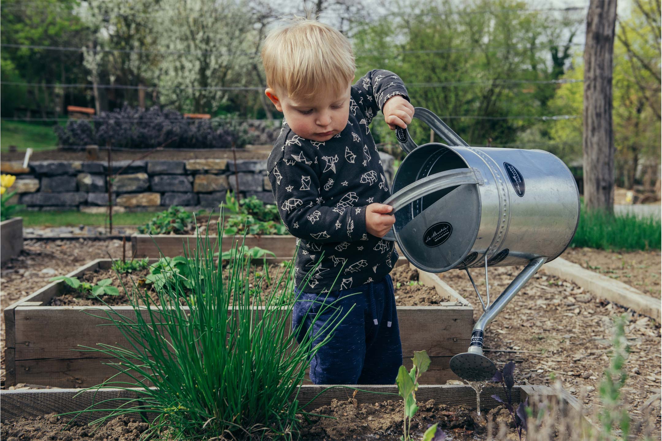 small-boy-watering-garden2160