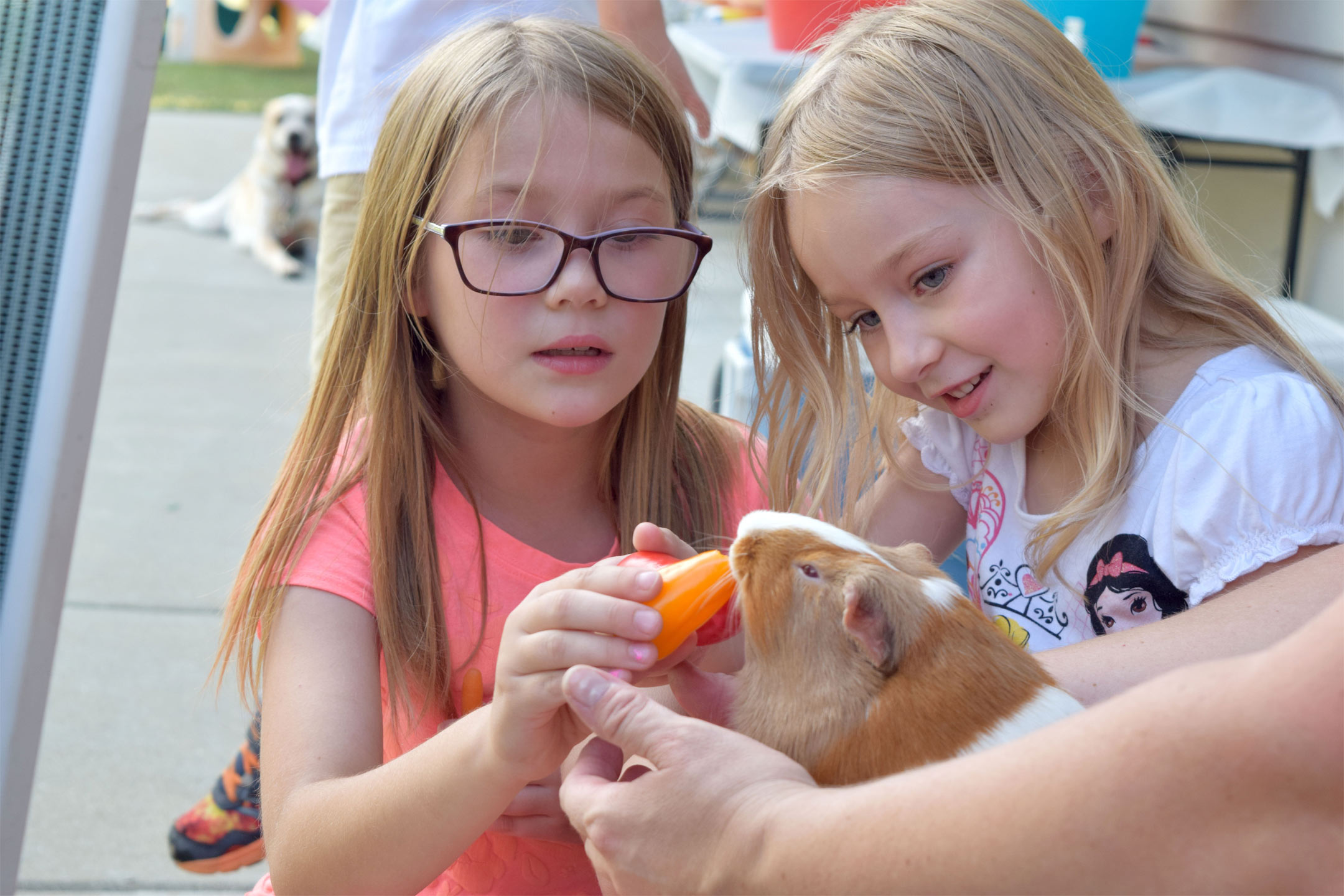 Girls-with-Guinea-Pigs2160