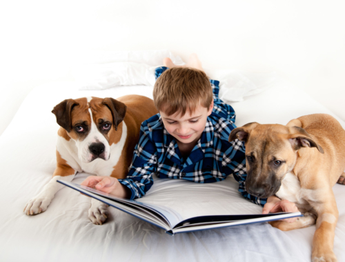 boy-reading-to-pet-dogs2160