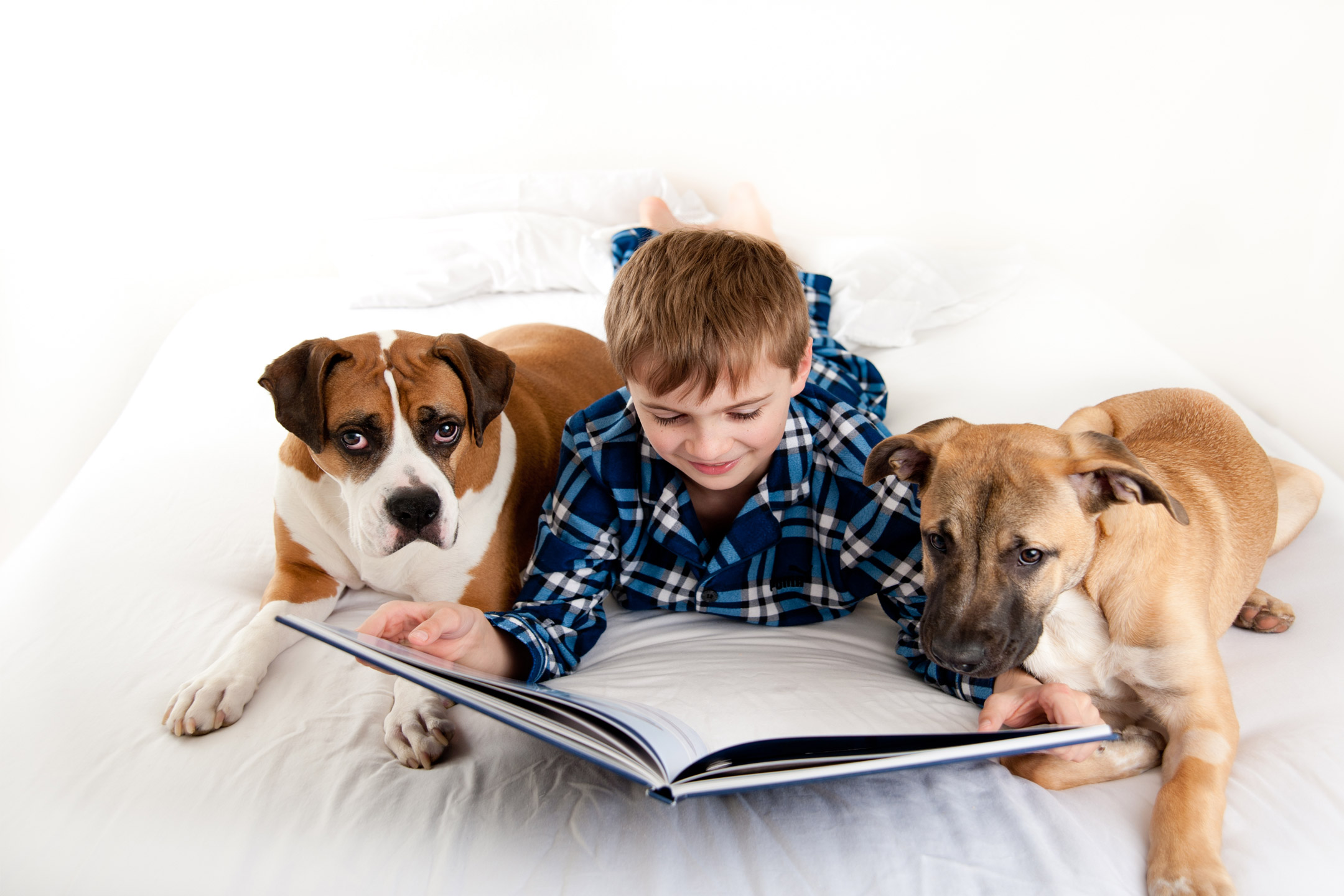 boy-reading-to-pet-dogs2160