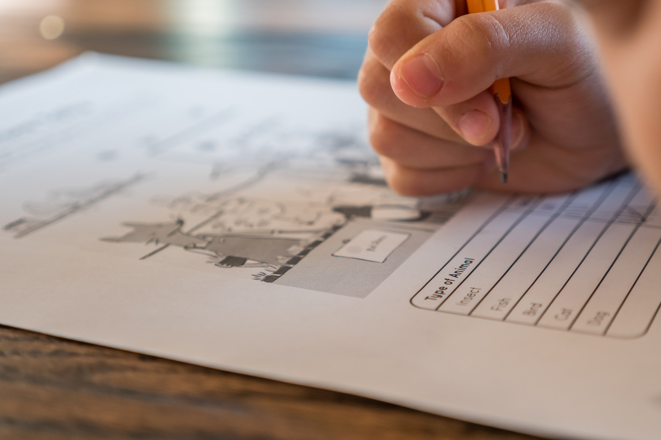 Childs-hand-writing