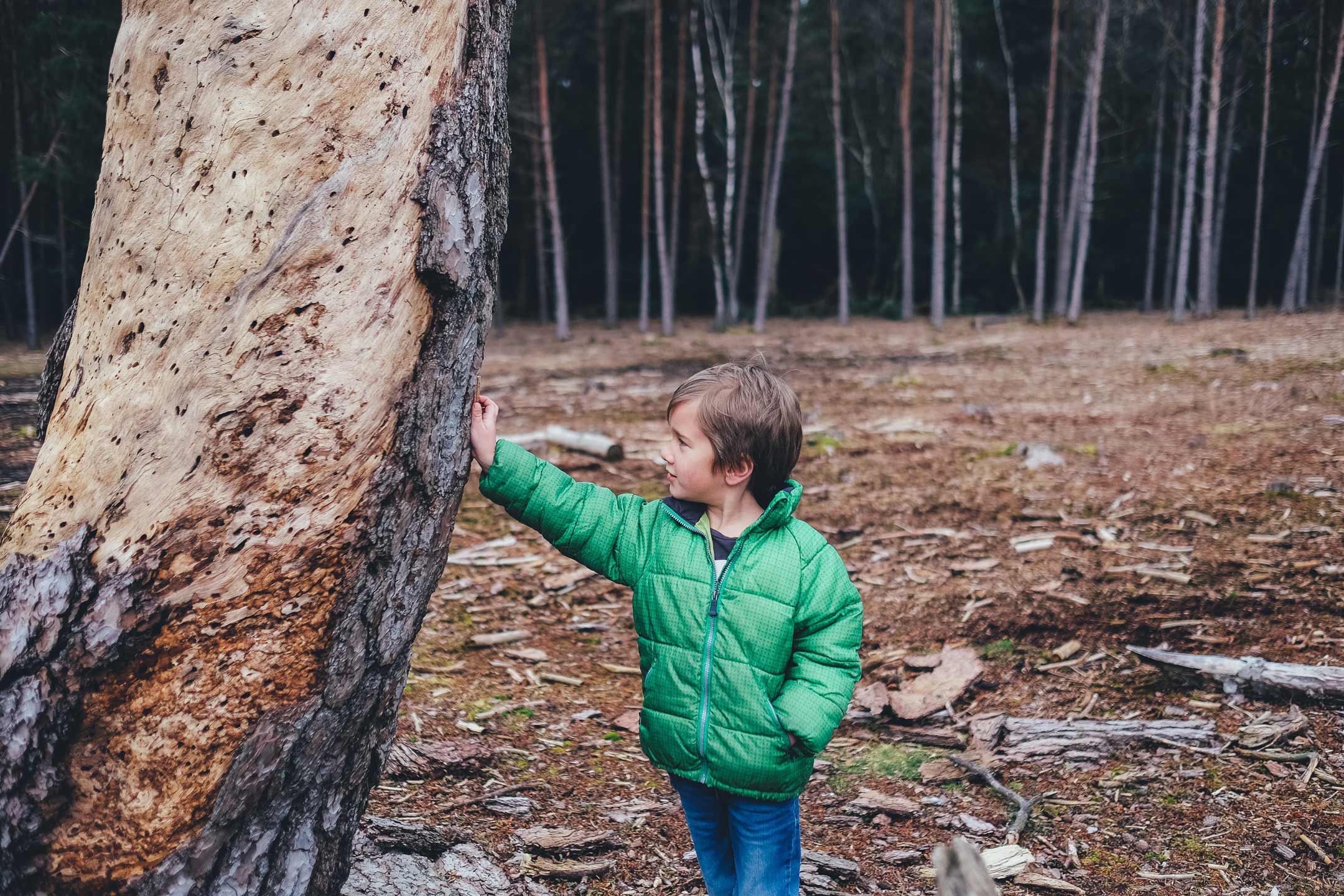 boy-outside-bush-touching-tree2160