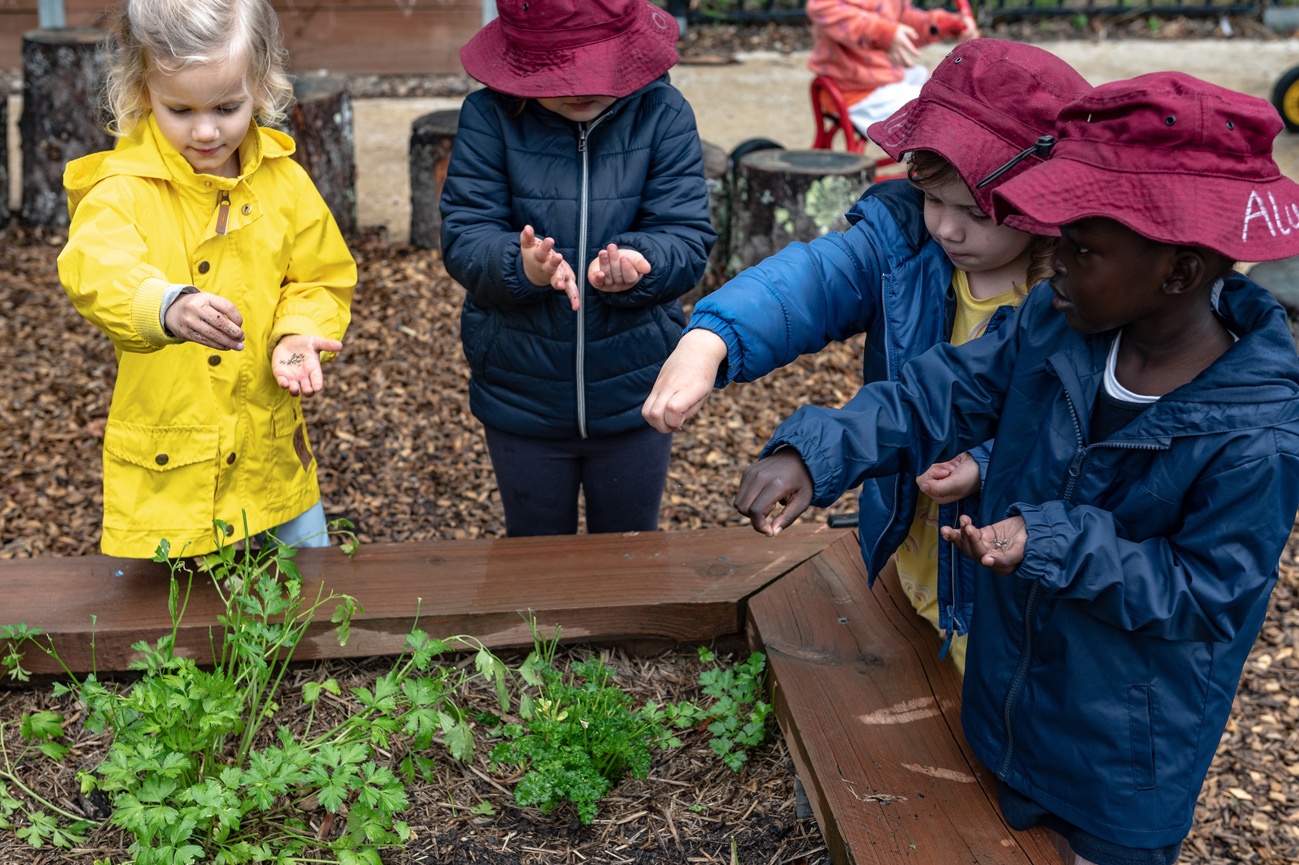 Young-school-kids-looking-at-veg-garden-small
