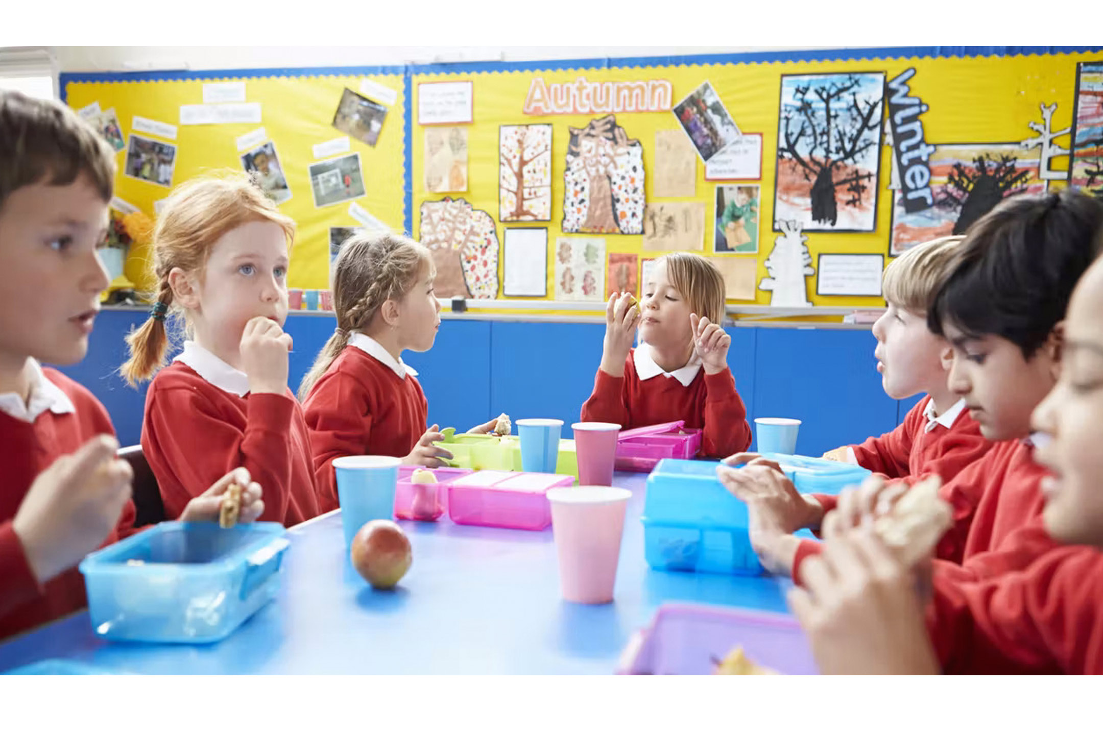 school-lunch-box-gut-health-2160