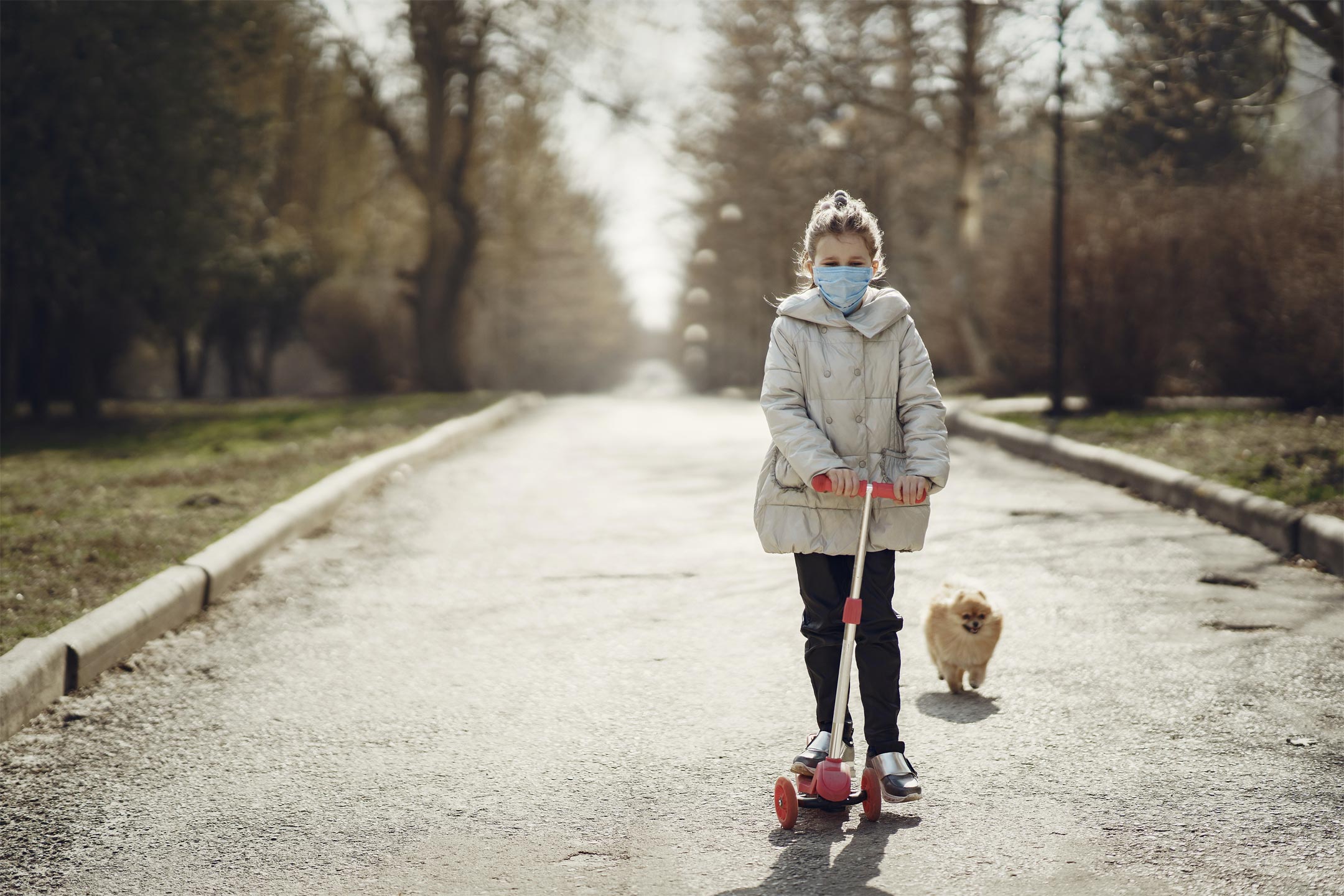 dog walking
